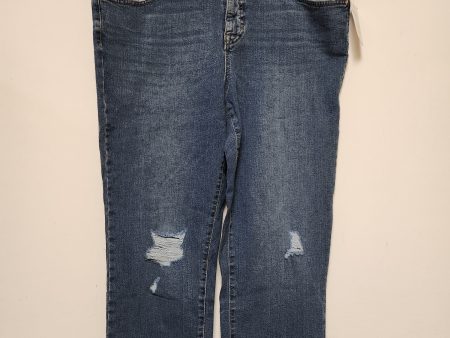 Jeans Boyfriend By Style And Company In Blue Denim, Size: 14 Discount