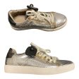 Shoes Designer By All Saints In Multi-colored, Size: 8.5 on Sale