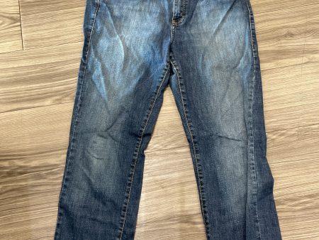 Jeans Straight By Calvin Klein In Blue, Size: 14 on Sale